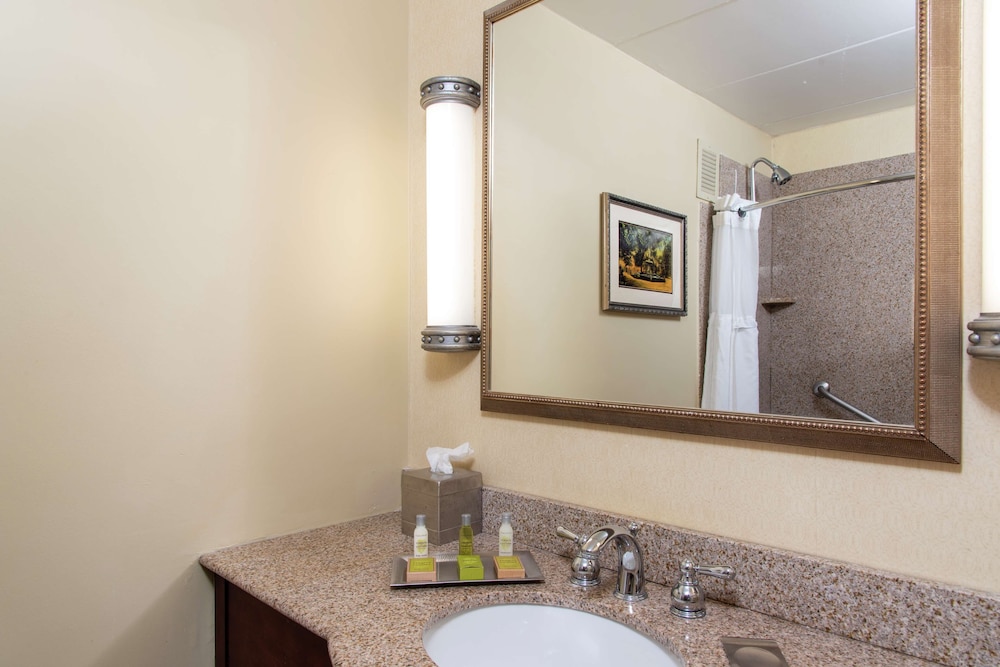DoubleTree by Hilton Hotel Grand Rapids Airport - photo 17