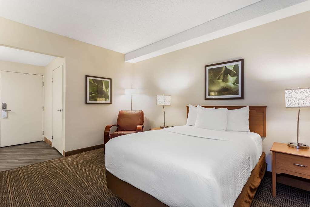Baymont by Wyndham Orlando South - photo 13