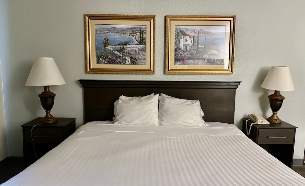 Ruskin Inn Hotel - photo 29