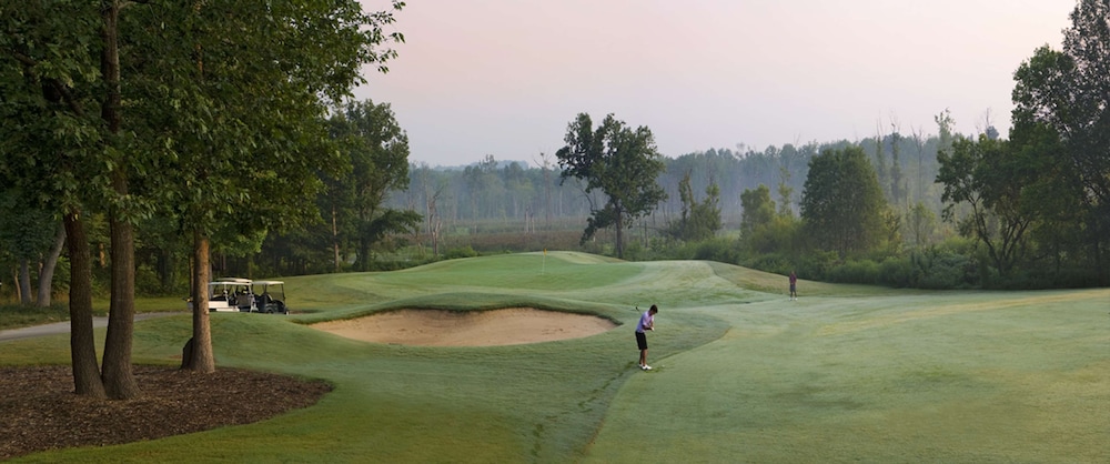 Embassy Suites by Hilton Charlotte Concord Golf Resort & Spa - photo 68