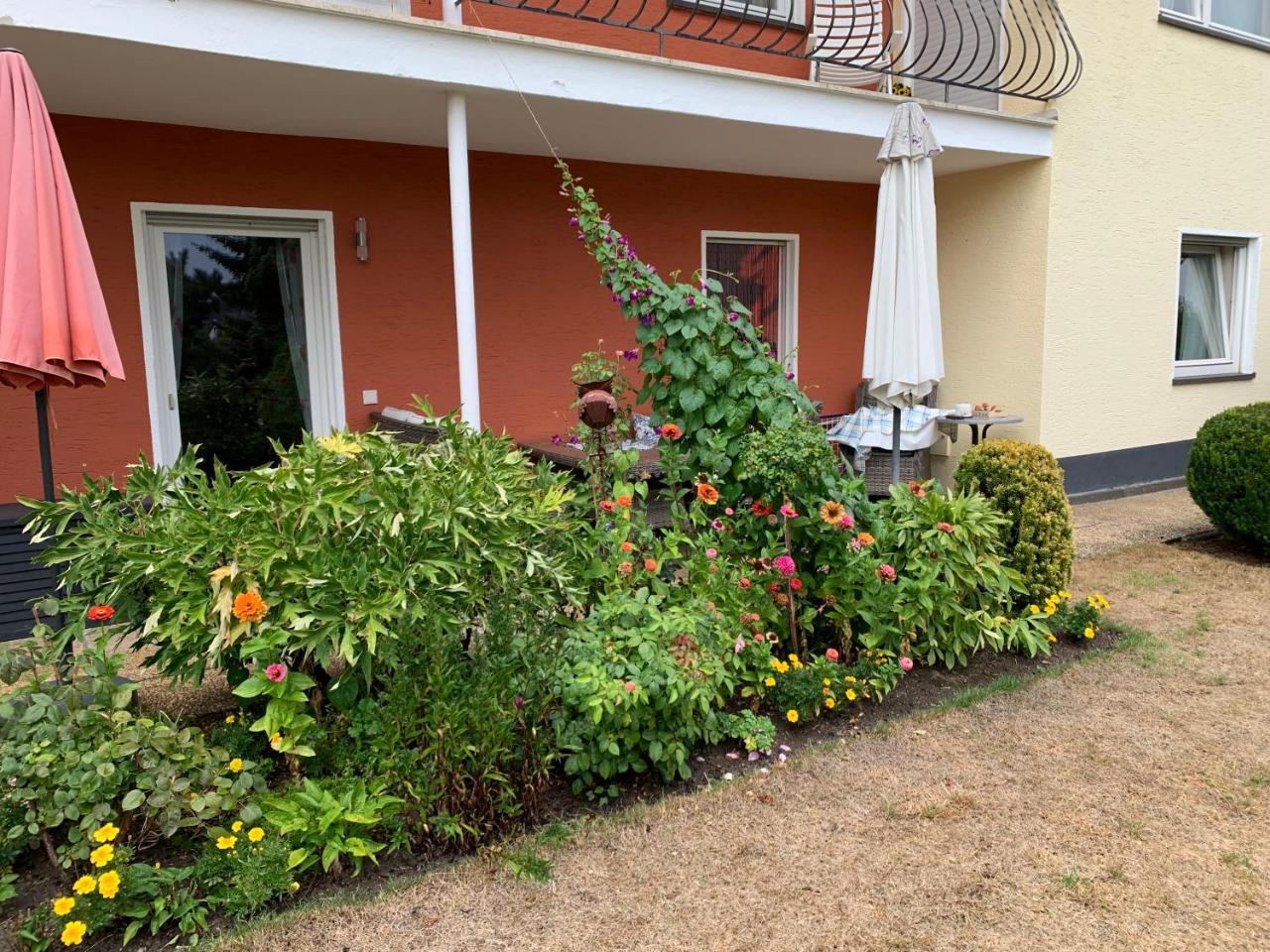 Grüne Oase — Kottenheim — photo 2