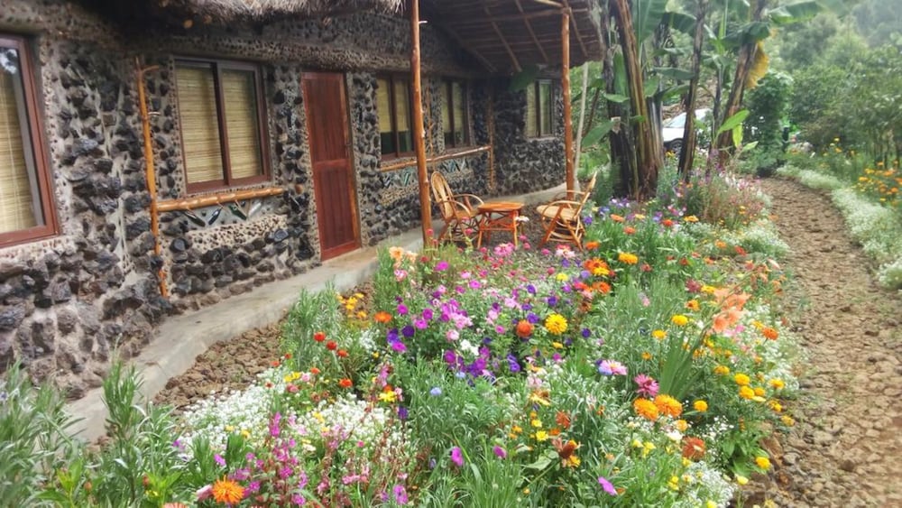 Mt. Kenya Riverside Retreat in Embu, Kenya