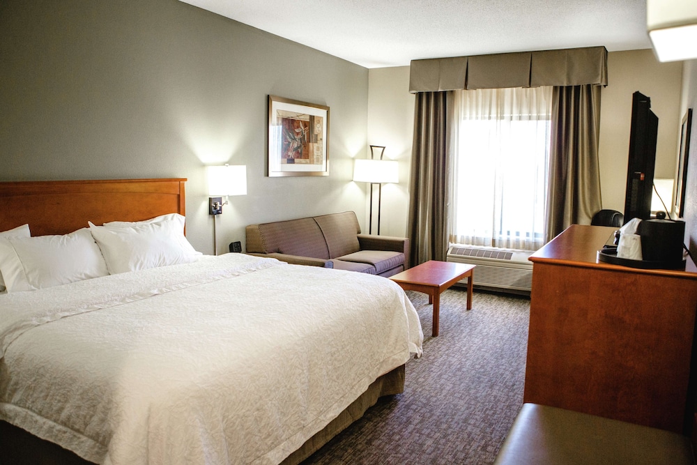 Hampton Inn Mitchell - photo 6