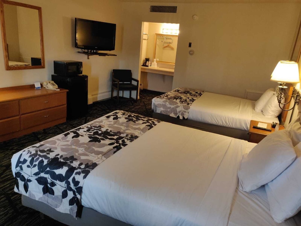 Skyline Motor Inn - photo 15