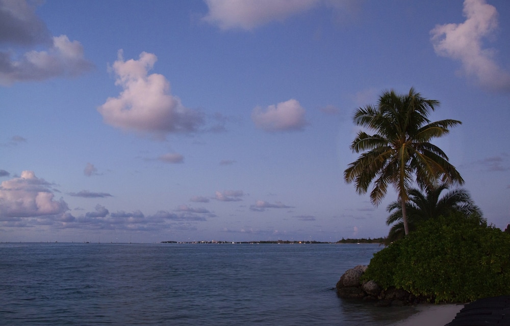 Pier House Resort & Spa - photo 114