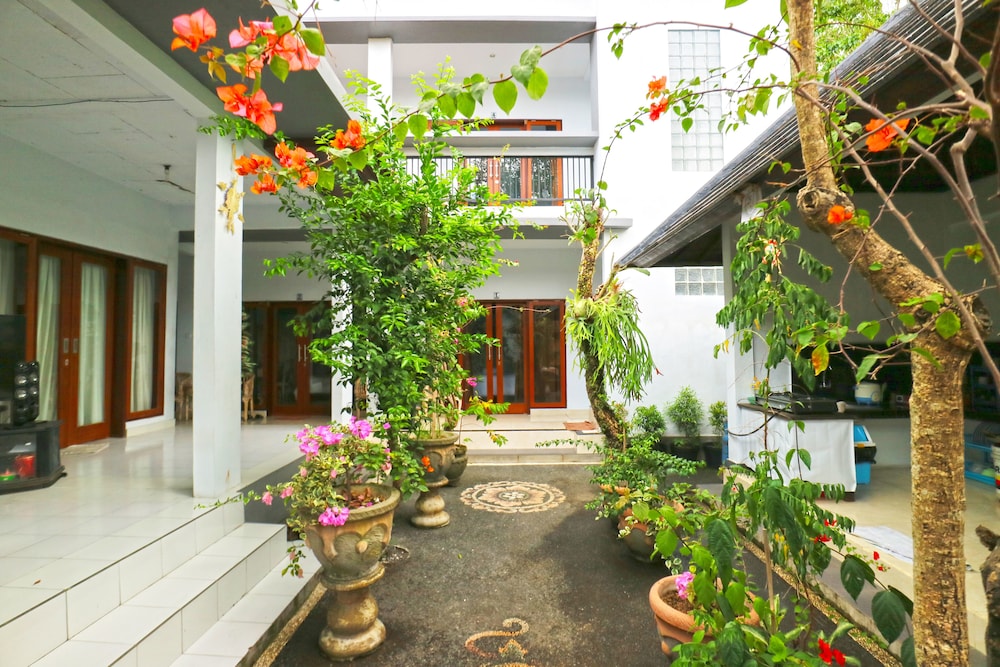 Ibus Room - carbon neutral hotel in Canggu