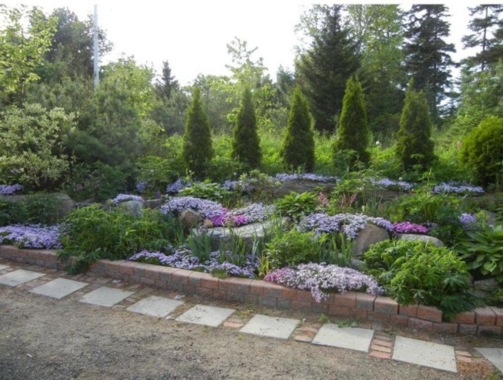 Tranquil Times B&B — Digby — photo 4