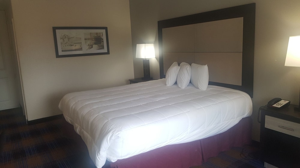 Baymont by Wyndham Pensacola - photo 6