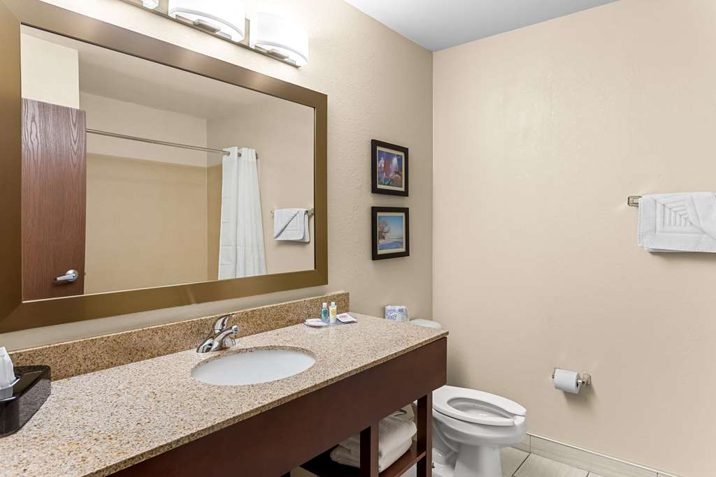 Comfort Suites Grayslake near Libertyville North - photo 13