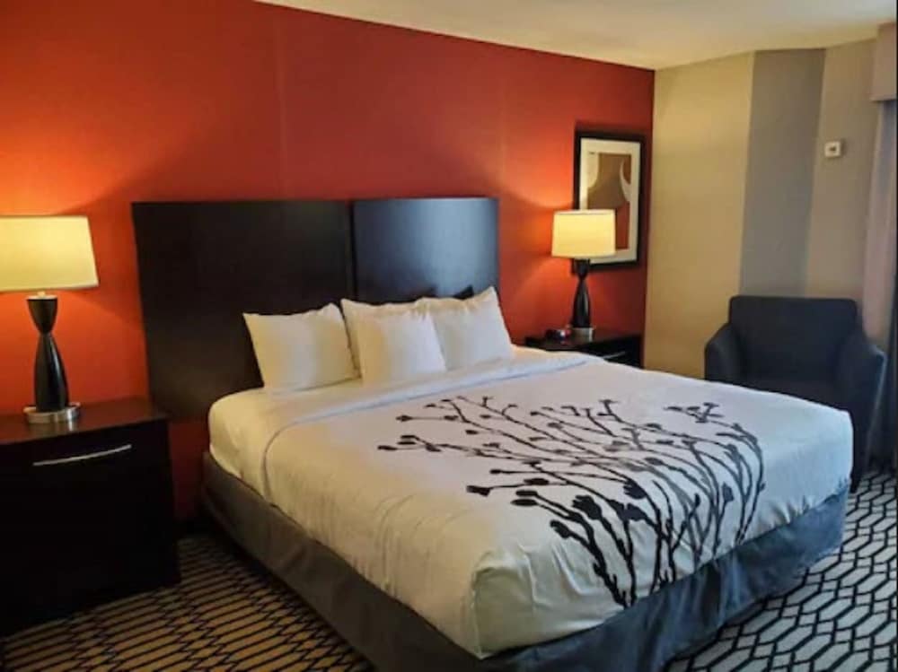 Sleep Inn & Suites BWI Airport - photo 13