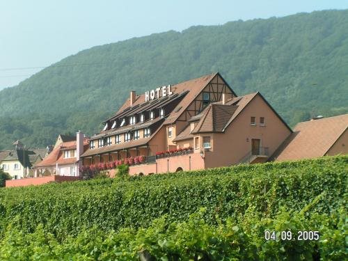 Relais Du Vignoble - last minute hotel in Pfaffenheim