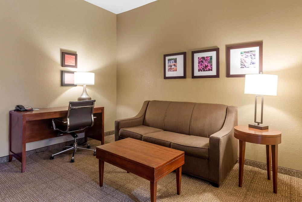 Comfort Inn & Suites Peachtree Corners - featured photo