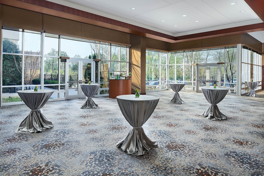 The Westin Baltimore Washington Airport BWI - photo 27