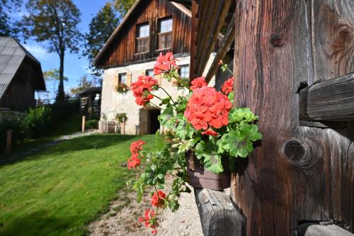Slo Etno House Gostece Vintage Apartma — 4-Star Luxury Hotel in Mozirje, Slovenia