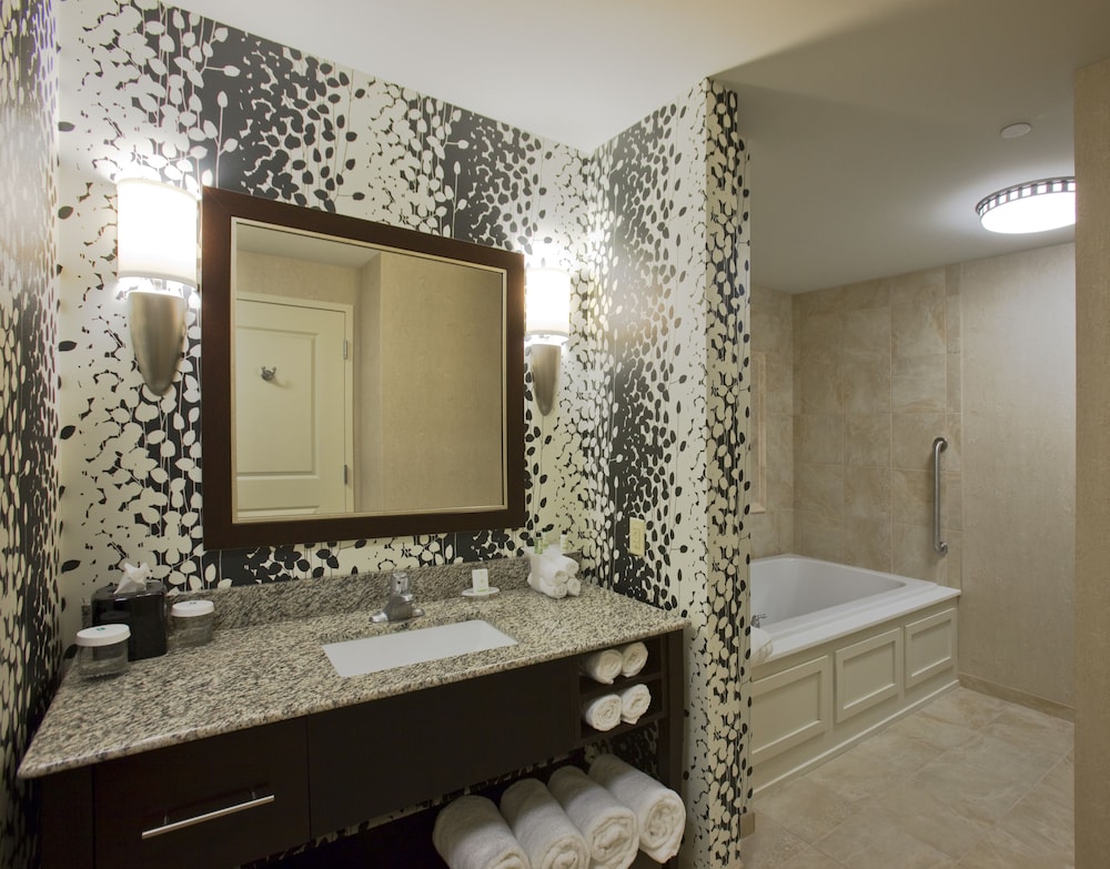 Embassy Suites Buffalo - photo 24