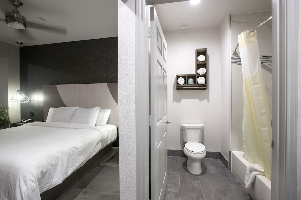 House Hotel - photo 17