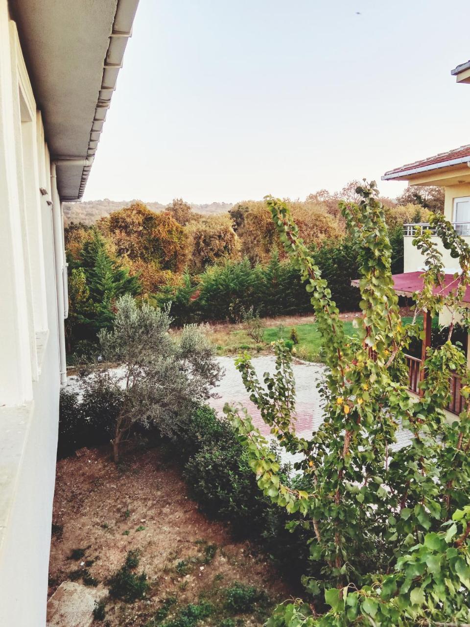 Ahmet Teacher's villa is 6 minutes from Istanbul airport — 5-Star Luxury Hotel in Arnavutkoey, Turkey