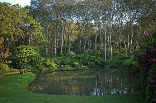 Makaranga Garden Lodge — Durban — photo 4