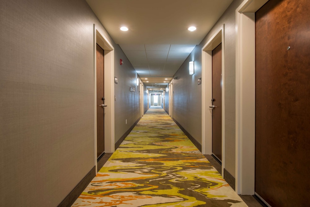 Hampton Inn Waynesboro - photo 13