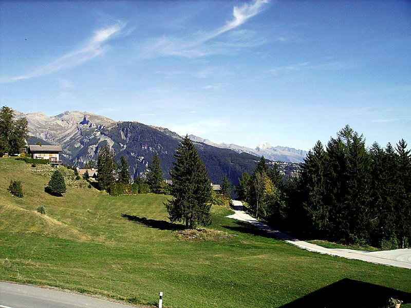 Annabel — Ayent — photo 3