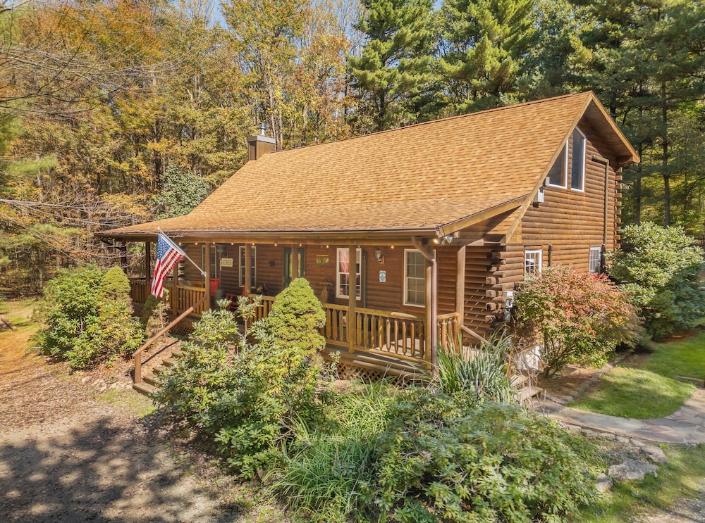 Wander Through the Woods in Mchenry, United States