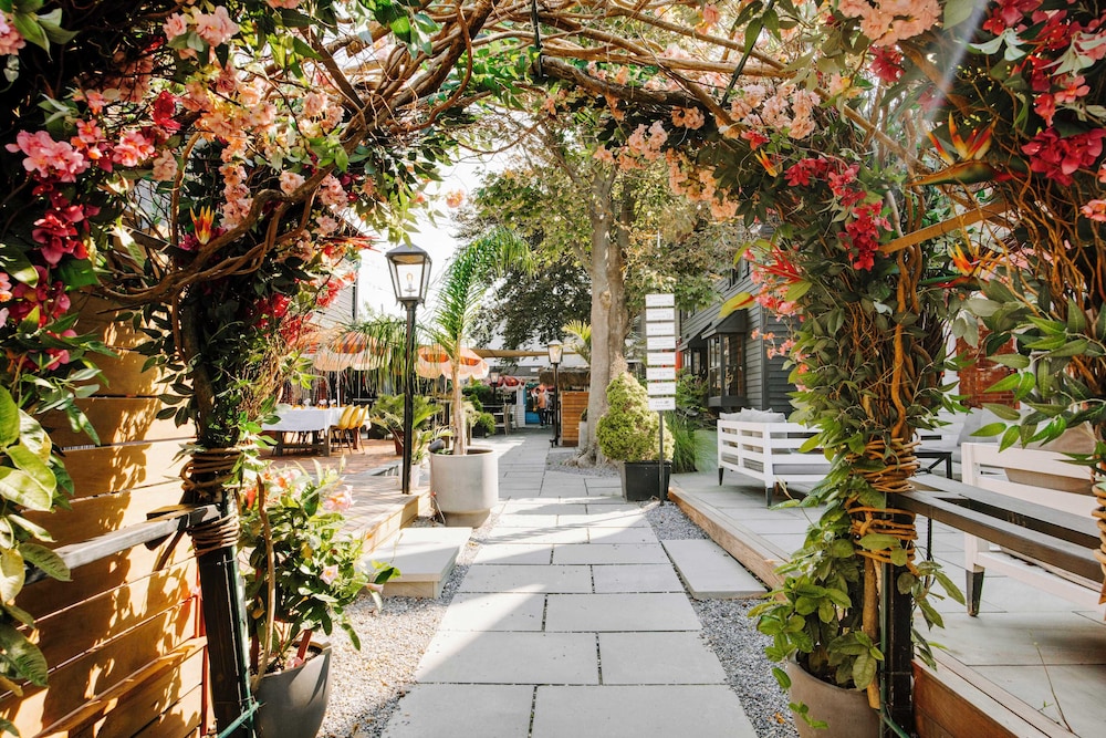 American Beech Hotel - photo 60