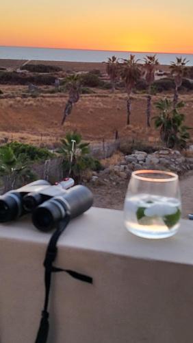 Casa MapacheTodos Santos Maison D'hôte — 4-Star Luxury Hotel in Todos Santos, Mexico