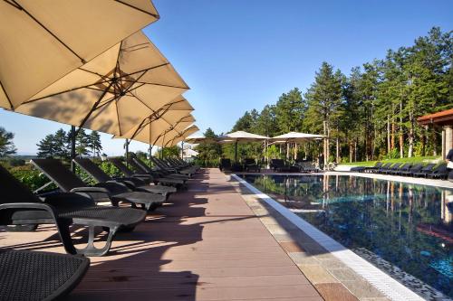 Esterra Vini Guest House — Perushtitsa — photo 3