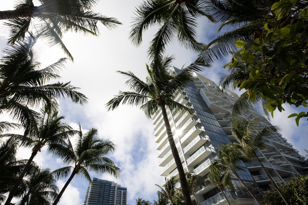 W South Beach - photo 321