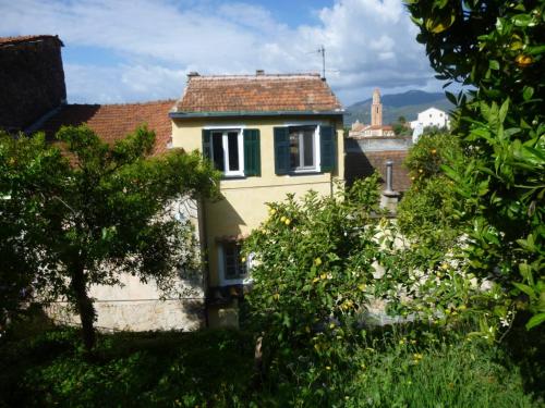 Ligurisches Rustico umgeben von Olivenhainen am Dorfrand in Imperia, Italy