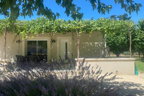 Le Ribbou — L Isle Sur La Sorgue