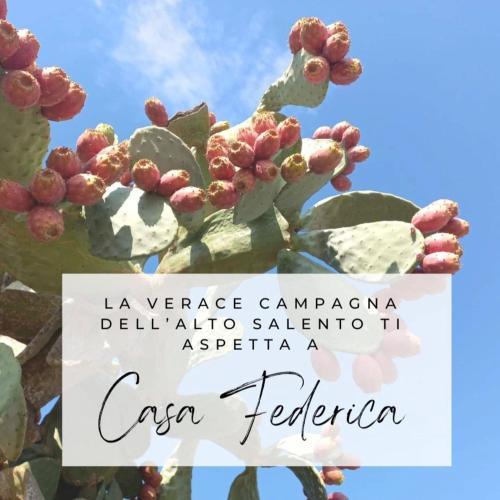 Casa Federica — 4-Star Luxury Hotel in Francavilla Fontana, Italy