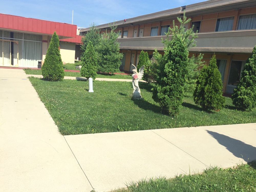 Red Carpet Inn & Suites Muncie - photo 16