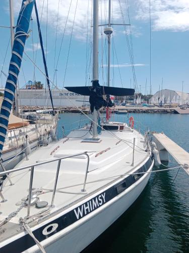 Velero Valencia Whimsy — Valencia