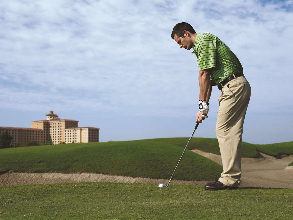Rosen Shingle Creek - photo 88