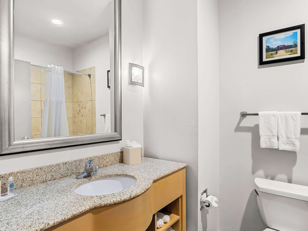 Comfort Suites Lindale Tyler North - photo 11