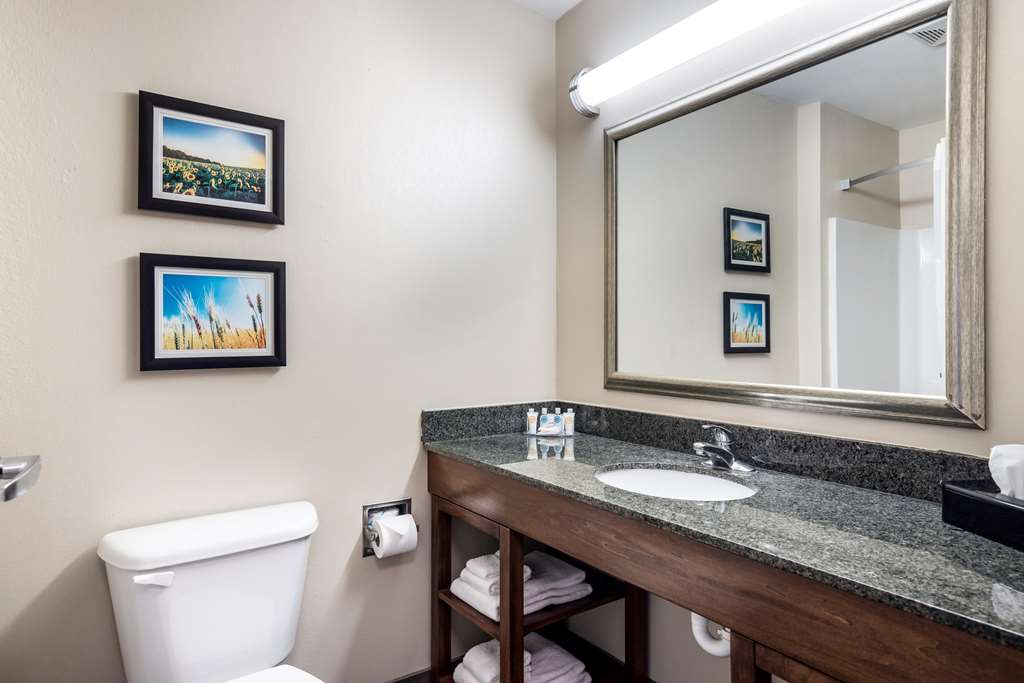 Comfort Inn Bonner Springs Kansas City - photo 14
