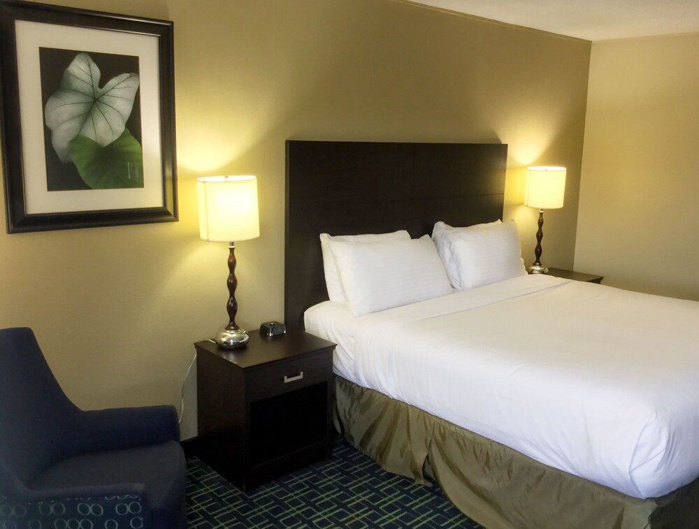 Best Western Charleston - photo 9