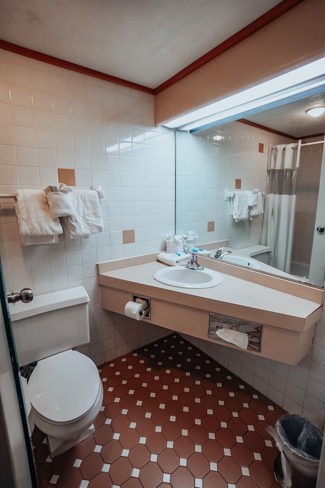 Lamplighter Inn & Suites North - photo 22