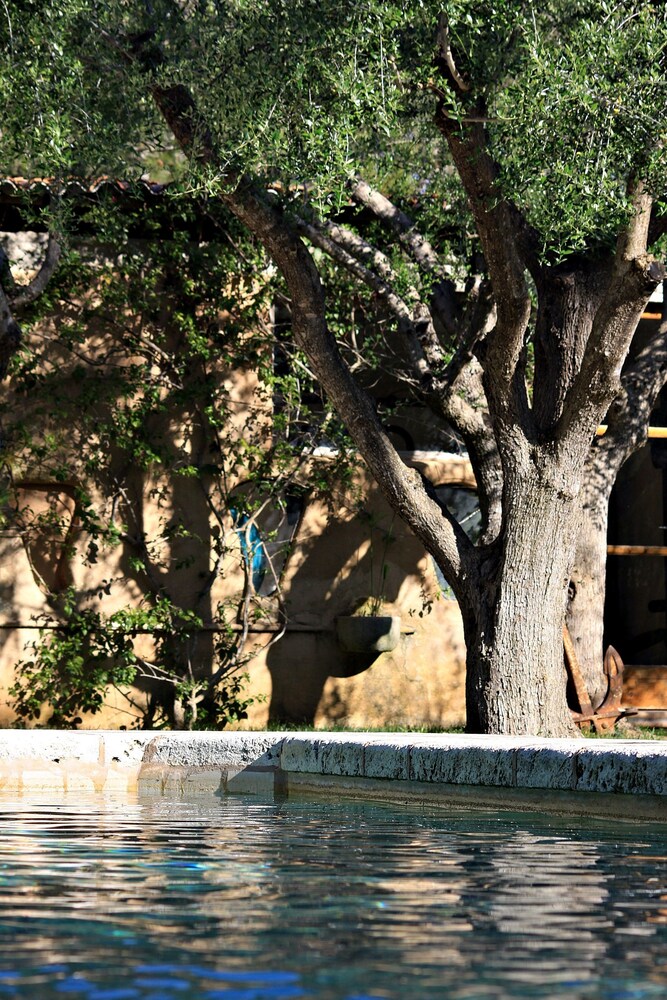 Petit Hotel Es Figueral - carbon neutral hotel in Campos