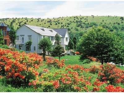 Hotel de Winds in Chino, Japan