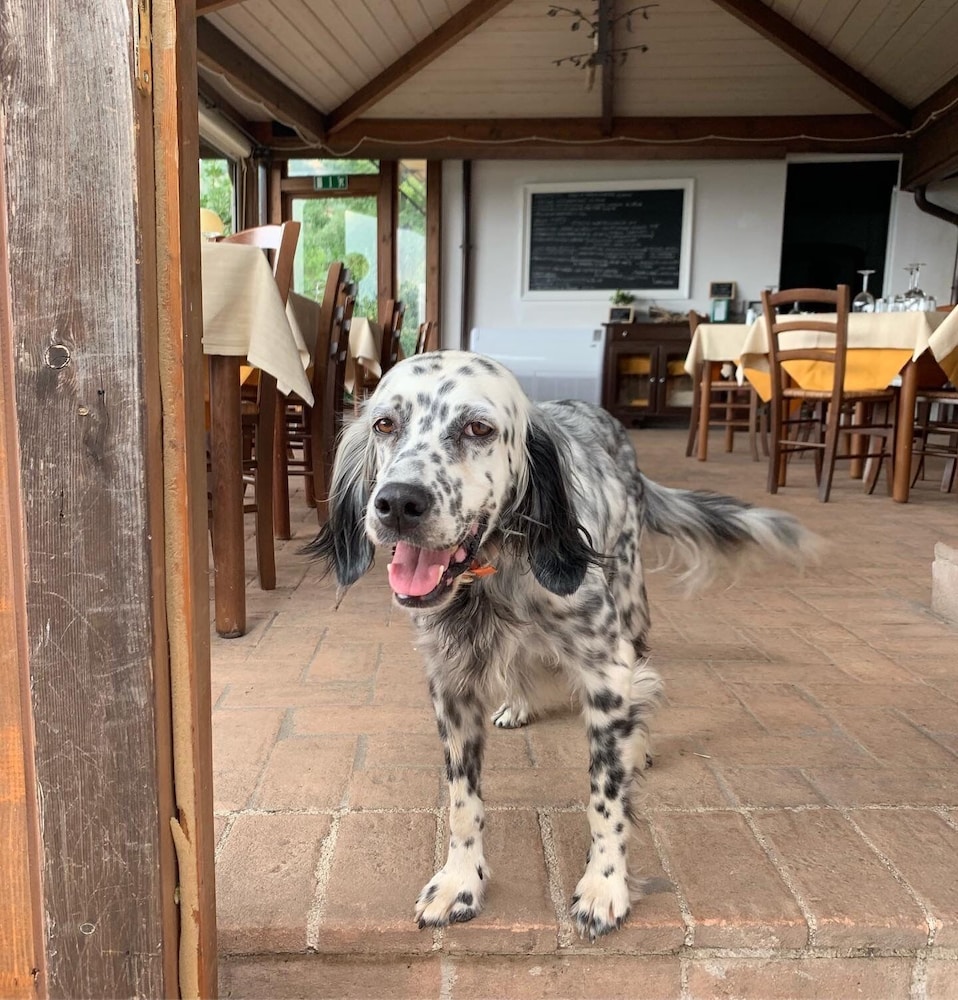 Setter House Agri Hotel in Trevi, Italy