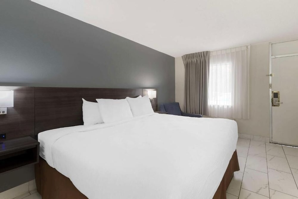 Downtown Inn & Studio Suites - photo 9