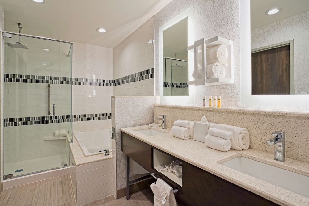 Hampton Inn & Suites Lubbock University - photo 21