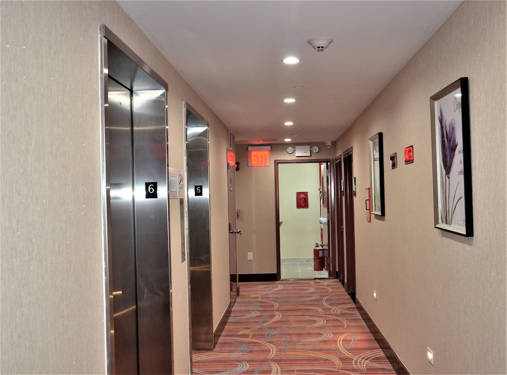 Lic Plaza Hotel - photo 22