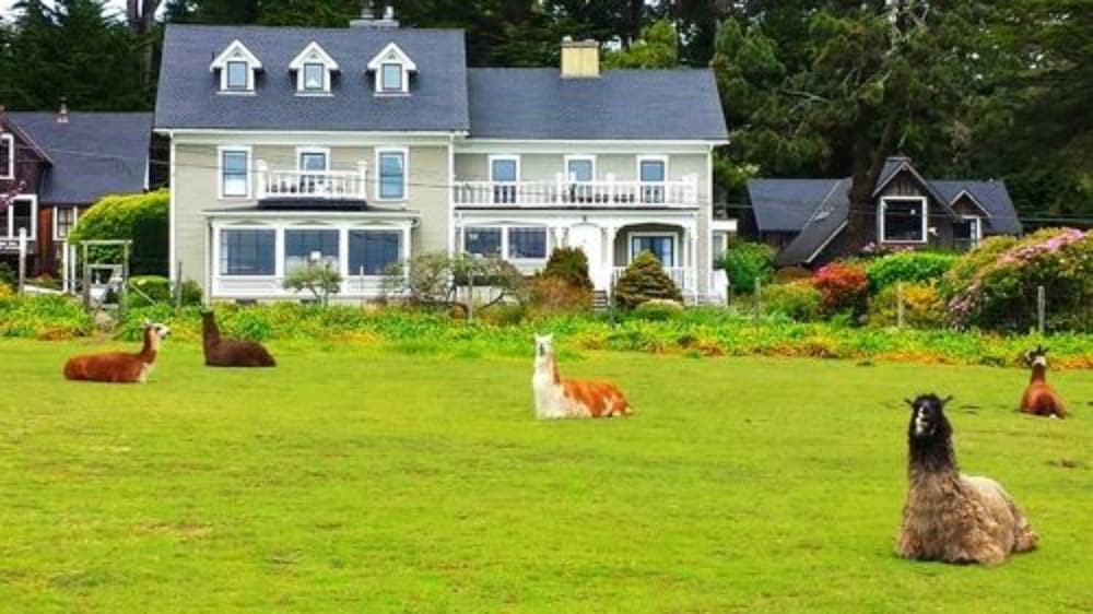SCP Mendocino Inn and Farm - photo 108