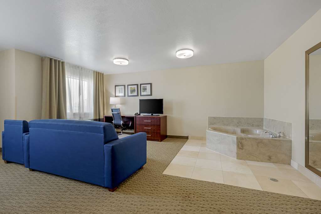 Comfort Suites Benbrook Fort Worth Southwest - photo 14