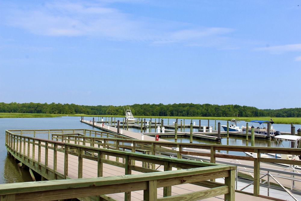 Surry Seafood Company - photo 21