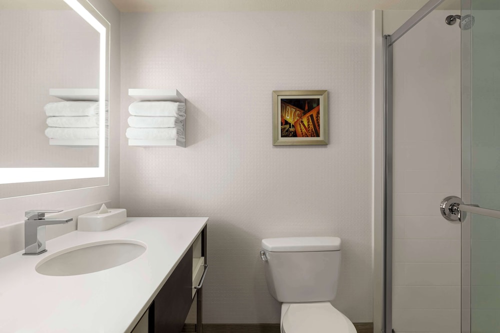 Hampton Inn Tropicana - photo 33