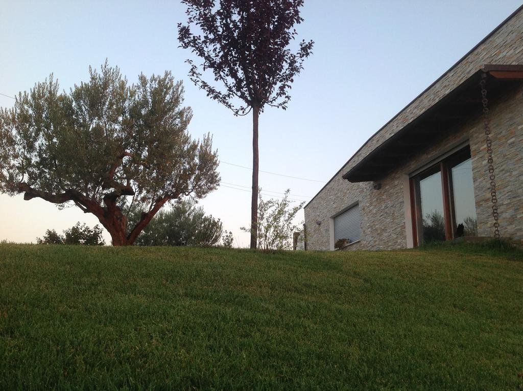 Gioia In Collina — Torrevecchia — photo 5